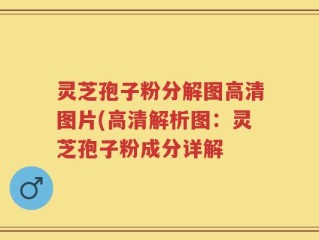 灵芝孢子粉分解图高清图片(高清解析图：灵芝孢子粉成分详解