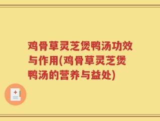 鸡骨草灵芝煲鸭汤功效与作用(鸡骨草灵芝煲鸭汤的营养与益处)