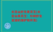 长百山野生黑灵芝(长百山黑灵芝：珍稀野生资源的保护和开发)
