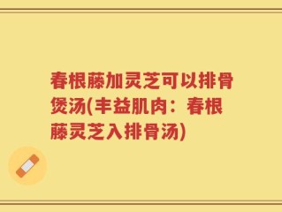 春根藤加灵芝可以排骨煲汤(丰益肌肉：春根藤灵芝入排骨汤)