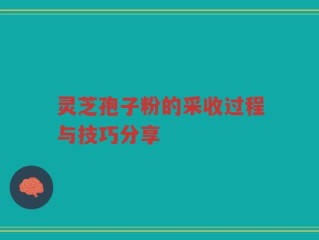 灵芝孢子粉的采收过程与技巧分享