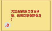 灵芝白娘娘(灵芝白娘娘：透视百草香飘香岛)