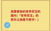 我要看我的世界灵芝的图片(「世界灵芝」的照片让我爱不释手！)