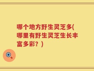 哪个地方野生灵芝多(哪里有野生灵芝生长丰富多彩？)