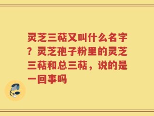 灵芝三萜又叫什么名字？灵芝孢子粉里的灵芝三萜和总三萜，说的是一回事吗