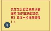 灵芝怎么熨烫视频讲解图片(如何正确熨烫灵芝？教你一招视频教程！)