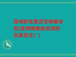 昆明野生黑灵芝哪里有卖(昆明哪里能买到野生黑灵芝？)