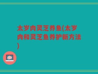 太岁肉灵芝养鱼(太岁肉和灵芝鱼养护新方法)