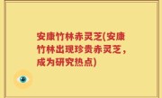 安康竹林赤灵芝(安康竹林出现珍贵赤灵芝，成为研究热点)