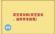 灵芝家石斛(灵芝宝石，滋养养生新宠)