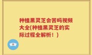 种植黑灵芝会苦吗视频大全(种植黑灵芝的实际过程全解析！)
