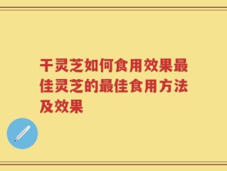干灵芝如何食用效果最佳灵芝的最佳食用方法及效果