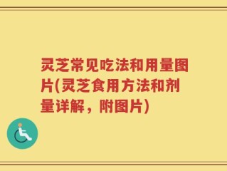 灵芝常见吃法和用量图片(灵芝食用方法和剂量详解，附图片)