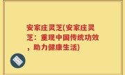 安家庄灵芝(安家庄灵芝：重现中国传统功效，助力健康生活)