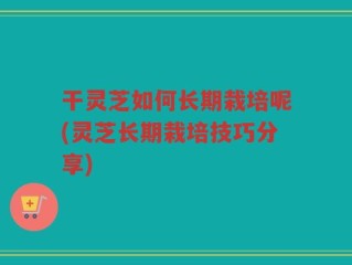 干灵芝如何长期栽培呢(灵芝长期栽培技巧分享)