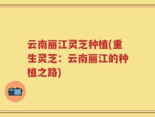 云南丽江灵芝种植(重生灵芝：云南丽江的种植之路)