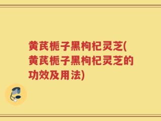 黄芪栀子黑枸杞灵芝(黄芪栀子黑枸杞灵芝的功效及用法)