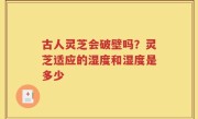 古人灵芝会破壁吗？灵芝适应的湿度和湿度是多少