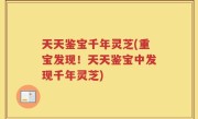 天天鉴宝千年灵芝(重宝发现！天天鉴宝中发现千年灵芝)