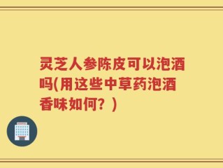 灵芝人参陈皮可以泡酒吗(用这些中草药泡酒香味如何？)
