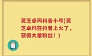 灵芝卓玛抖音小号(灵芝卓玛在抖音上火了，获得大量粉丝！)
