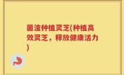 菌渣种植灵芝(种植高效灵芝，释放健康活力)