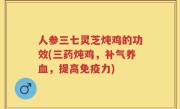 人参三七灵芝炖鸡的功效(三药炖鸡，补气养血，提高免疫力)