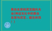 黑白无常和灵芝图片大全(神话文化中的黑白无常与灵芝，图文并茂！)