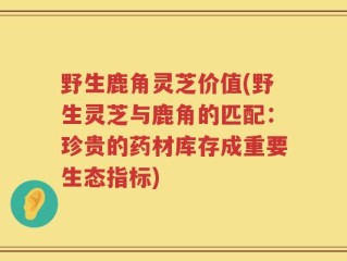 野生鹿角灵芝价值(野生灵芝与鹿角的匹配：珍贵的药材库存成重要生态指标)