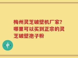 梅州灵芝破壁机厂家？哪里可以买到正宗的灵芝破壁孢子粉