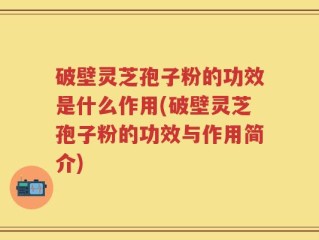 破壁灵芝孢子粉的功效是什么作用(破壁灵芝孢子粉的功效与作用简介)
