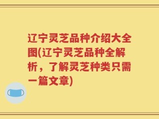 辽宁灵芝品种介绍大全图(辽宁灵芝品种全解析，了解灵芝种类只需一篇文章)