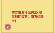 南方潮湿地区灵芝(潮湿地区灵芝：南方的瑰宝)