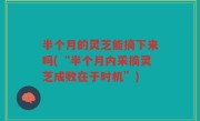半个月的灵芝能摘下来吗(“半个月内采摘灵芝成败在于时机”)