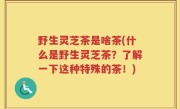 野生灵芝茶是啥茶(什么是野生灵芝茶？了解一下这种特殊的茶！)