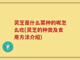 灵芝是什么菜种的呢怎么吃(灵芝的种类及食用方法介绍)