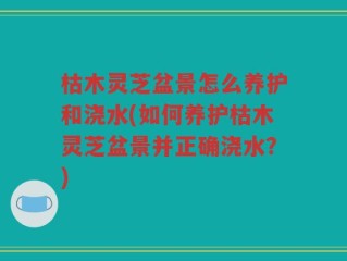 枯木灵芝盆景怎么养护和浇水(如何养护枯木灵芝盆景并正确浇水？)