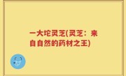 一大坨灵芝(灵芝：来自自然的药材之王)
