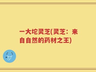 一大坨灵芝(灵芝：来自自然的药材之王)
