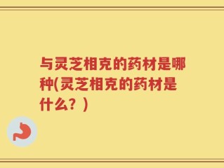 与灵芝相克的药材是哪种(灵芝相克的药材是什么？)
