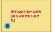 灵芝与紫之有什么区别(灵芝与紫之的不同之处)