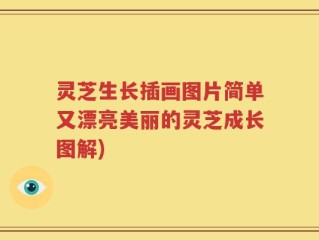 灵芝生长插画图片简单又漂亮美丽的灵芝成长图解)