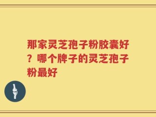 那家灵芝孢子粉胶囊好？哪个牌子的灵芝孢子粉最好
