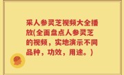 采人参灵芝视频大全播放(全面盘点人参灵芝的视频，实地演示不同品种，功效，用途。)