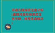 河源万绿湖灵芝孢子粉(重提河源万绿湖灵芝孢子粉，焕发生命精华)