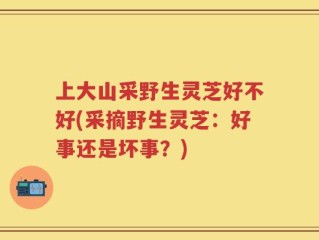 上大山采野生灵芝好不好(采摘野生灵芝：好事还是坏事？)