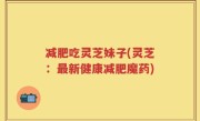 减肥吃灵芝妹子(灵芝：最新健康减肥魔药)