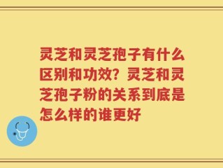 灵芝和灵芝孢子有什么区别和功效？灵芝和灵芝孢子粉的关系到底是怎么样的谁更好