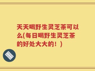 天天喝野生灵芝茶可以么(每日喝野生灵芝茶的好处大大的！)