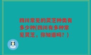 四川常见的灵芝种类有多少种(四川有多种常见灵芝，你知道吗？)